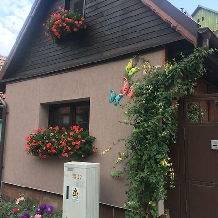 Maison Rosmina ブラショフ エクステリア 写真