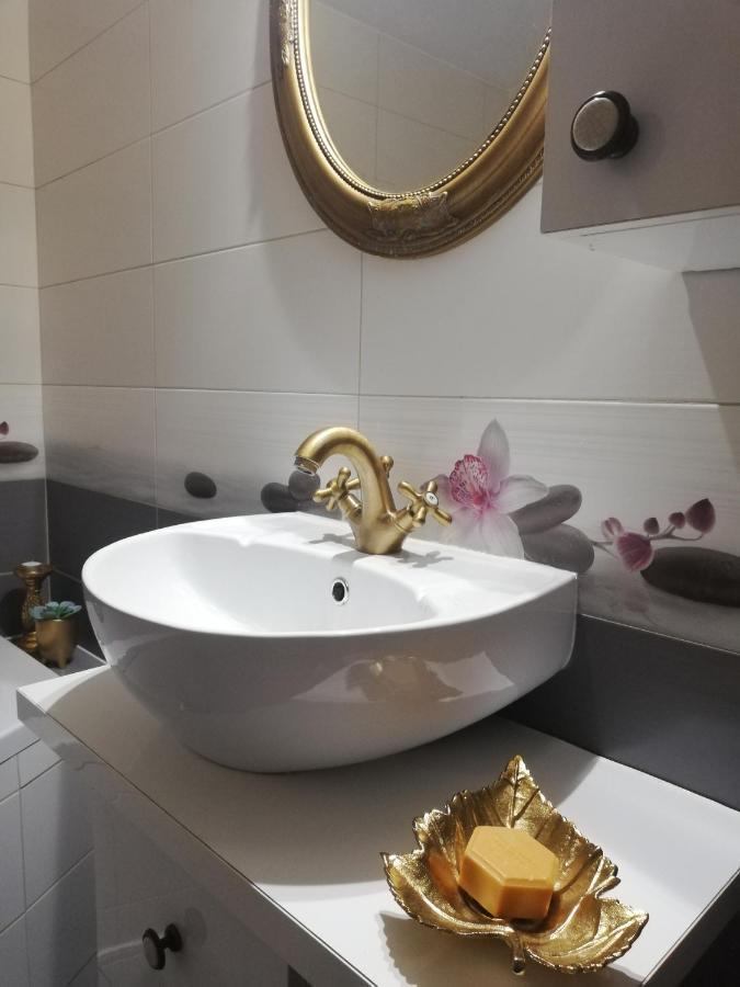 Maison Rosmina ブラショフ エクステリア 写真