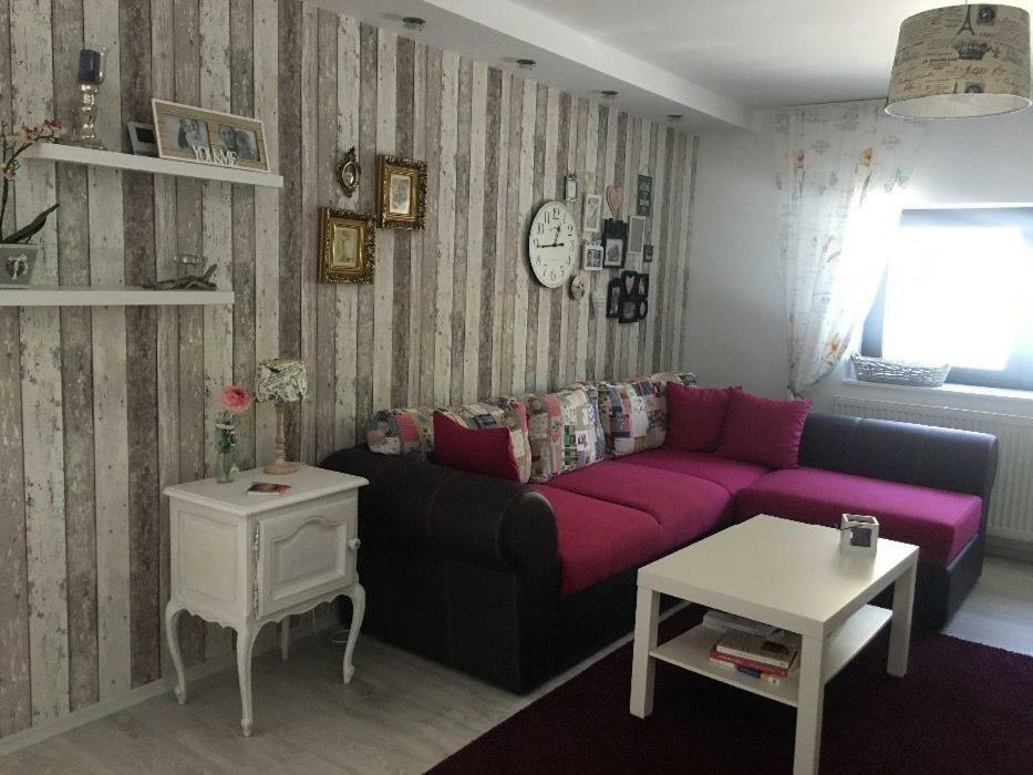 Maison Rosmina ブラショフ エクステリア 写真