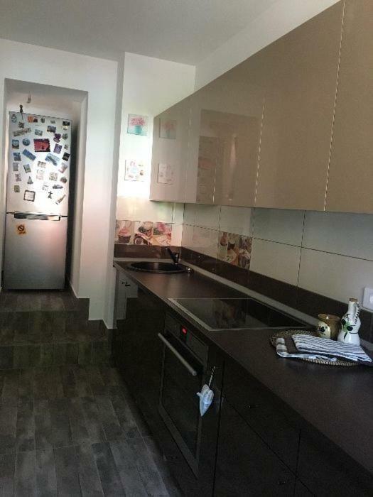 Maison Rosmina ブラショフ エクステリア 写真