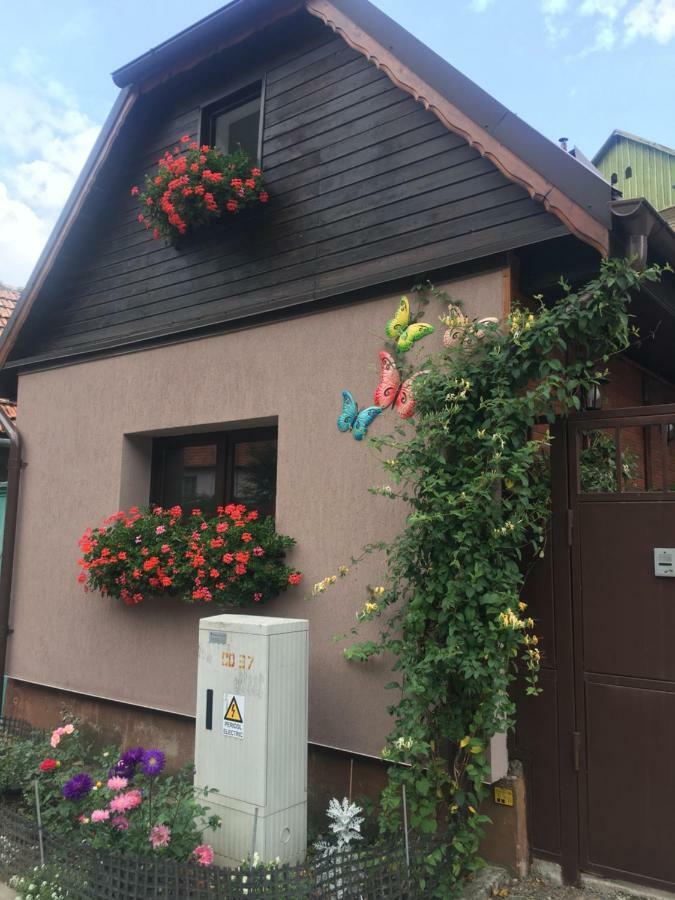 Maison Rosmina ブラショフ エクステリア 写真